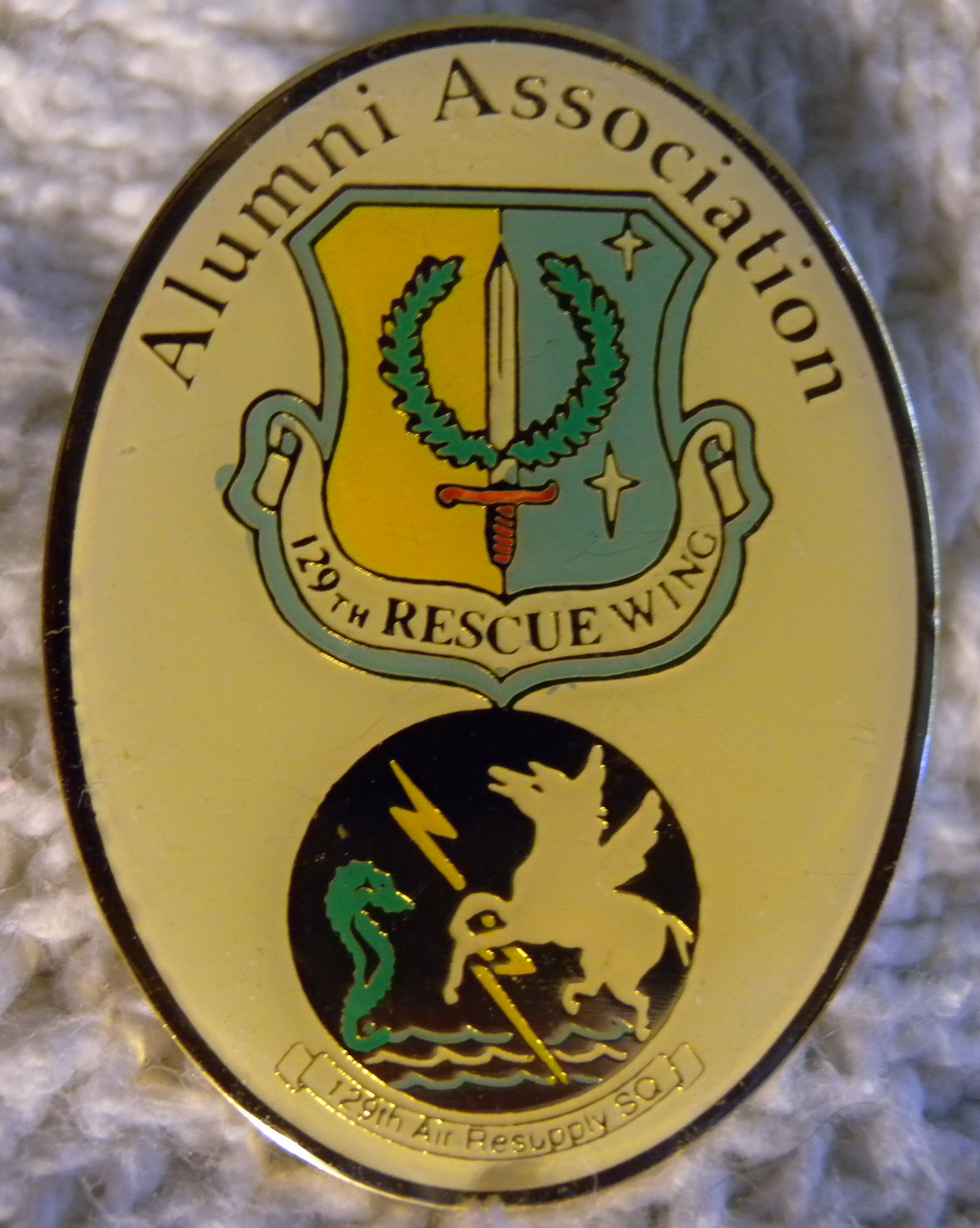Logo Pin